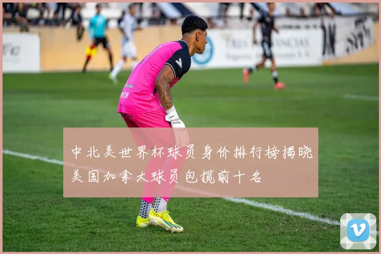 中北美世界杯球员身价排行榜揭晓美国加拿大球员包揽前十名